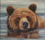 (image for) Grizzly Waters